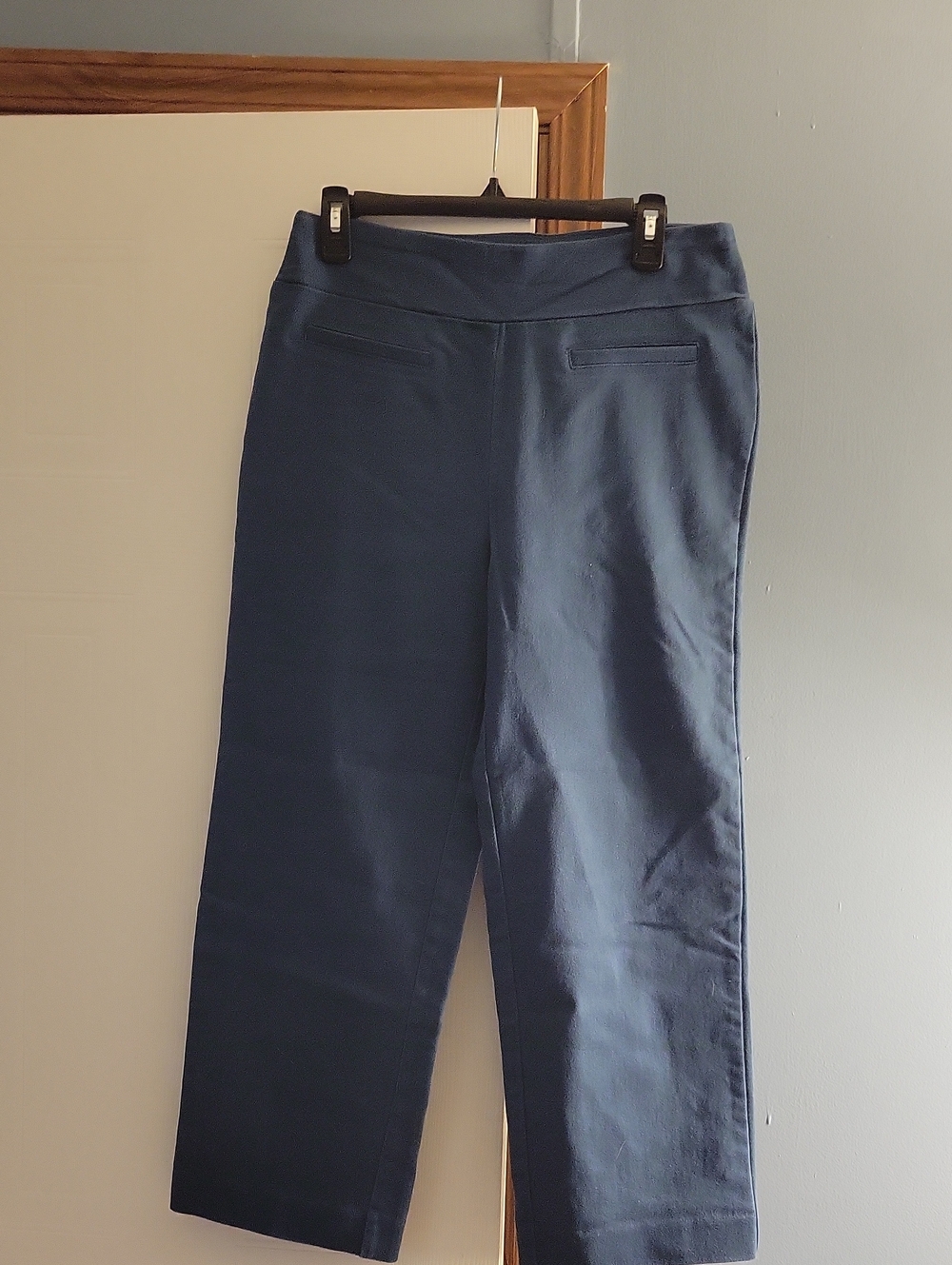 🎈 Wonderly Women's Pull on pants Size 8P